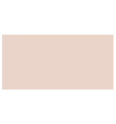 TOMBOW Dual Brush Pen Tan