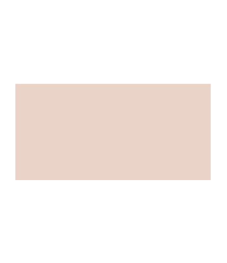 TOMBOW Dual Brush Pen Tan