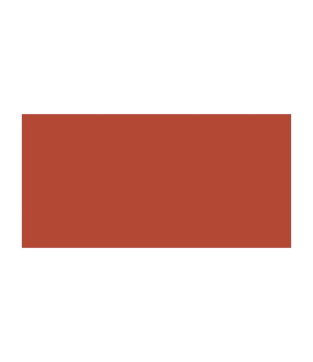 TOMBOW Dual Brush Pen Burnt Sienna