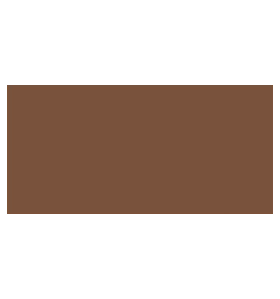 TOMBOW Dual Brush Pen Chocolate