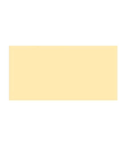 TOMBOW Dual Brush Pen Light Sand