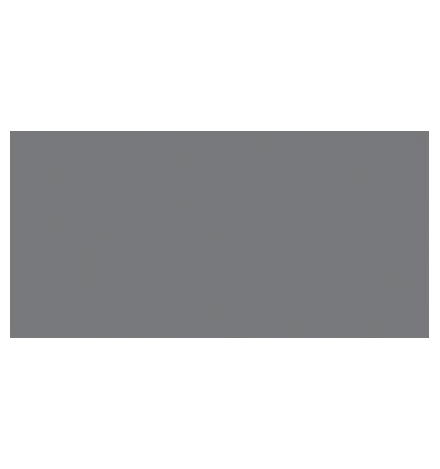 TOMBOW Dual Brush Pen Cool Gray 10