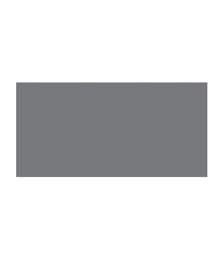 TOMBOW Dual Brush Pen Cool Gray 10