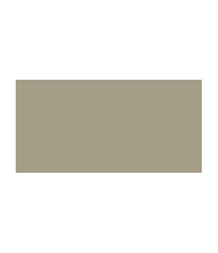 TOMBOW Dual Brush Pen Warm Gray 2 ABT-N79