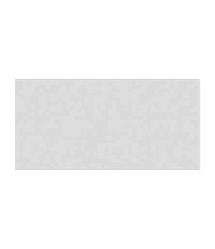 TOMBOW Dual Brush Pen Cool Gray 1