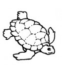 Mini Stempel Wasser-Schildkröte