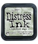 Distress Ink Mini Stempelkissen Bundled Sage - Tim Holtz