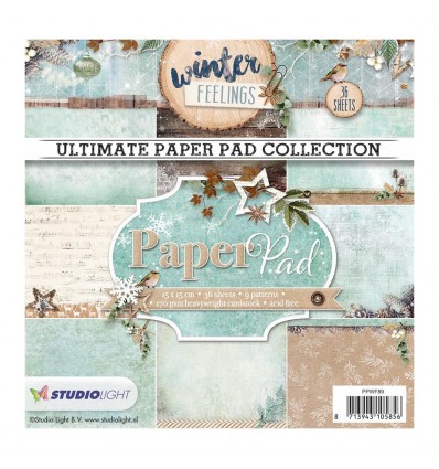 Scrapbooking Papier Winter Feelings 6" x 6" - Studio Light