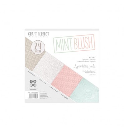 Scrapbooking Papier Mint Blush - Craft Perect