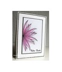 Clear Stamps Die besten Wünsche - Scrapbook Forever