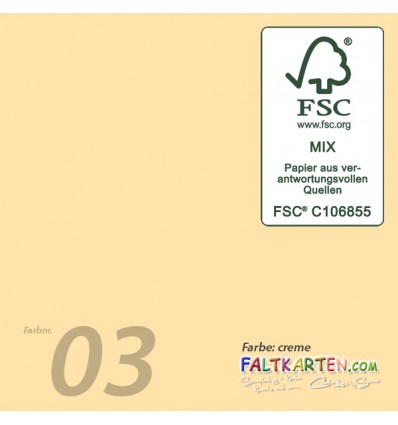 Scrapbooking Papier in creme, 12 Stk. - FK