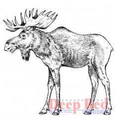 Cling Stempel Moose - Deep Red